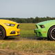 Illustration for article titled I Can’t Decide Between A New Ford Mustang GT Or An Old Boss 302